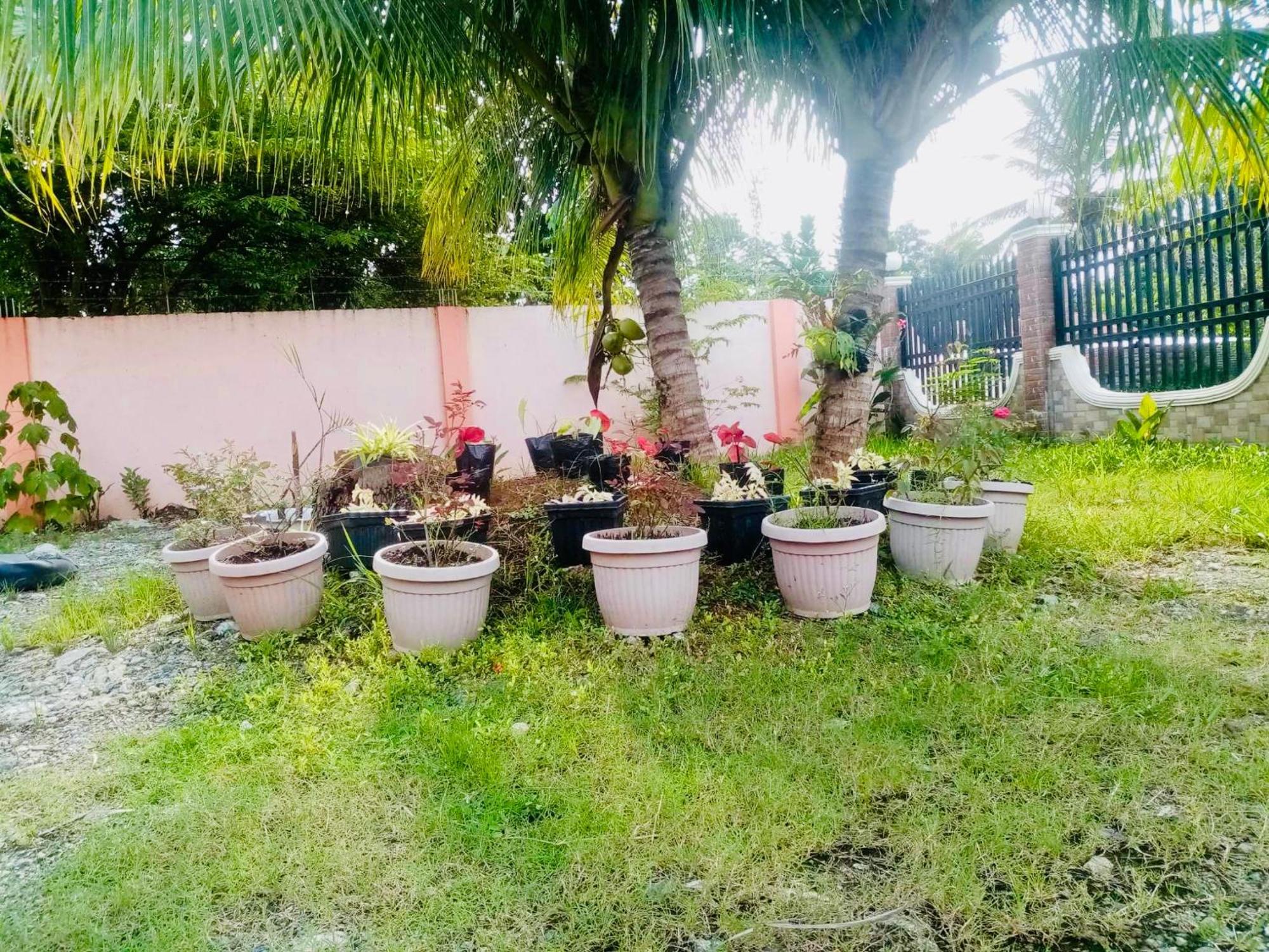 Chateau La Princesa With Cozy Garden & Bar Puerto Princesa Eksteriør billede